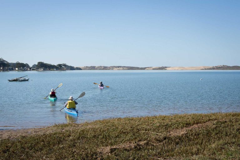 Morro Bay Estuary