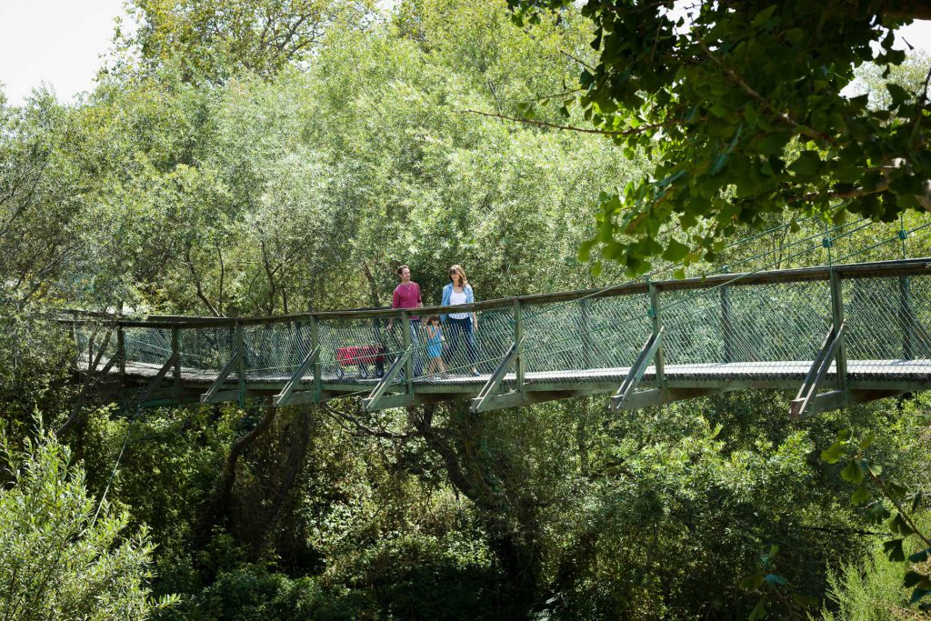 Arroyo Grande Swinging Bridge on Highway 1