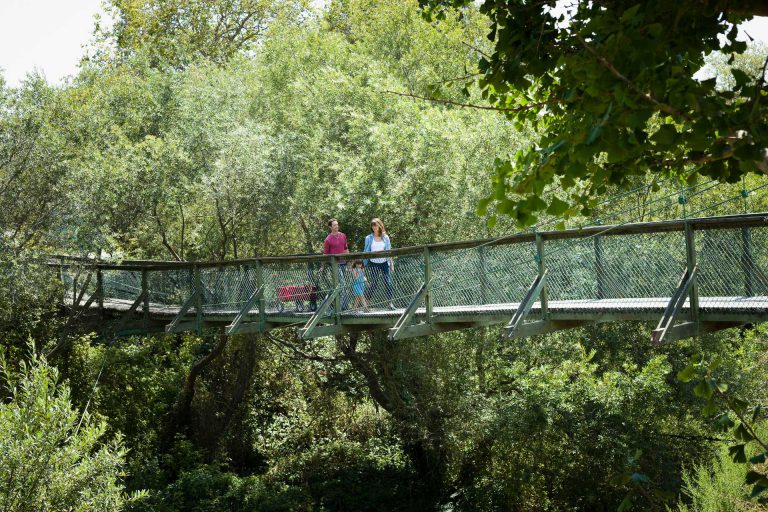 Arroyo Grande Swinging Bridge on Highway 1
