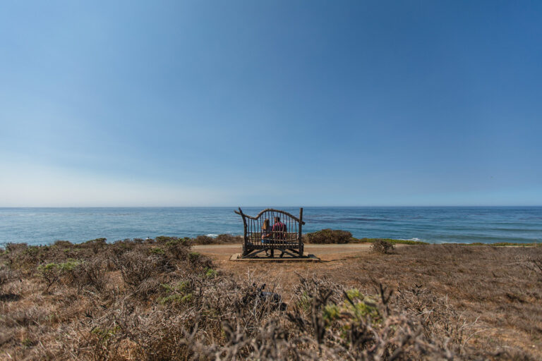 Fiscalini Ranch Preserve Cambria Bench
