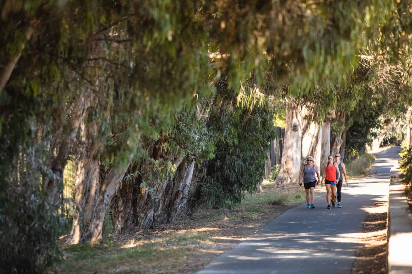 Bob Jones hiking trail in Avila Beach, CA