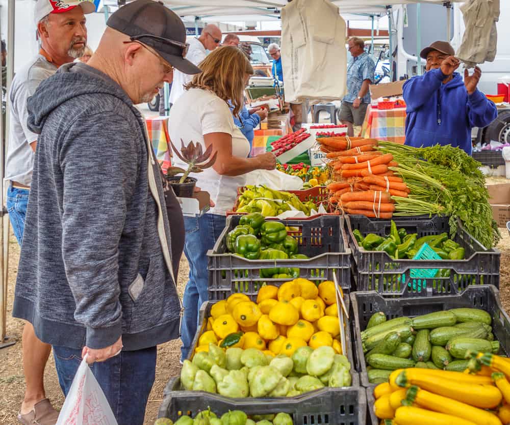 Cayucos farmers market