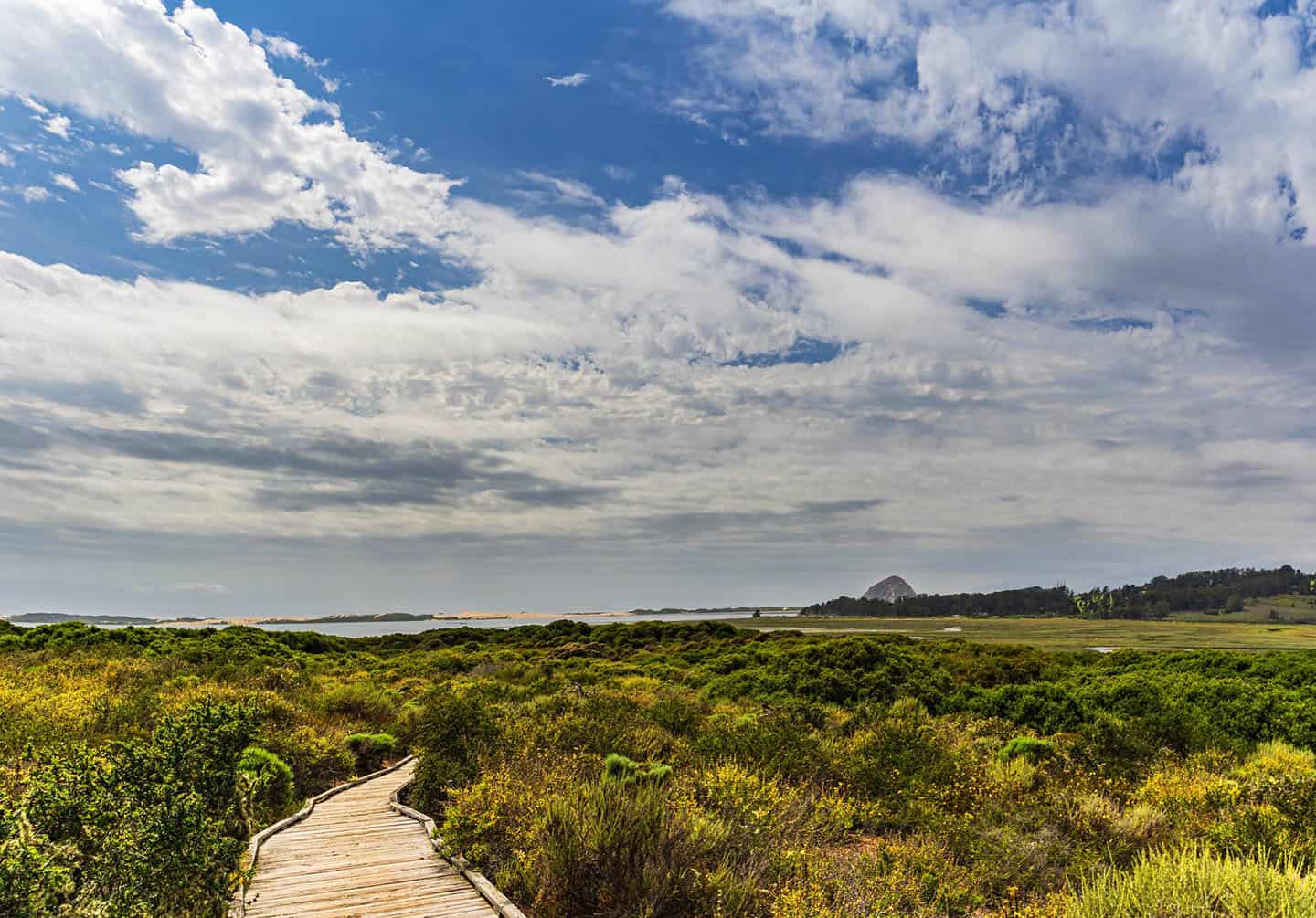 Elfin Forest Morro Bay View Photo Credit Michael Sheltzer