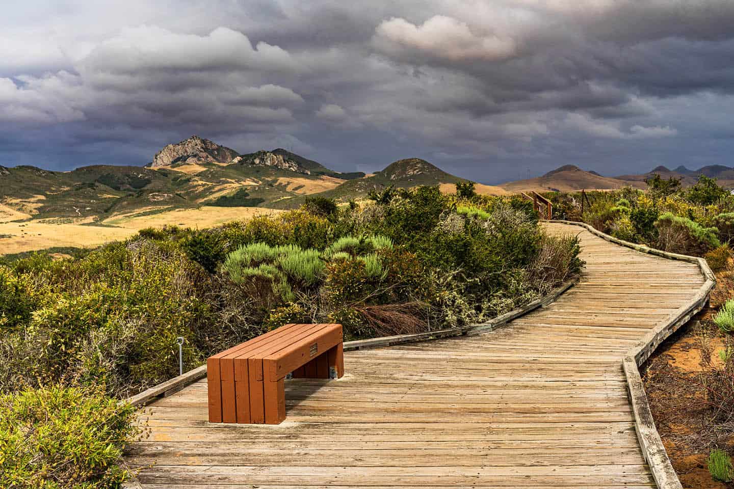 Elfin Forest Walkway Bench Photo Credit Michael Sheltzer