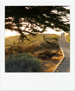 Cambria