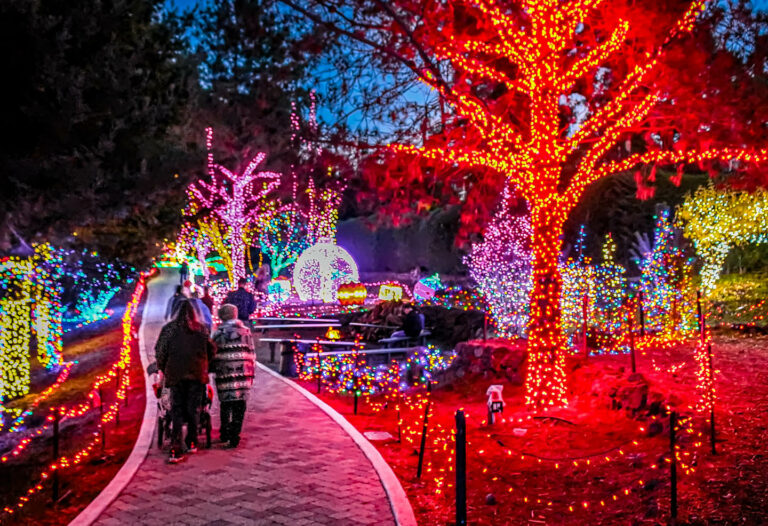 Cambria Christmas Market