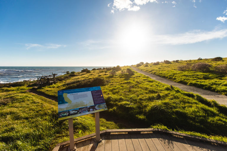 Fiscalini Ranch Preserve