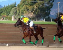 Central Coast Polo Club