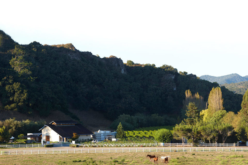 Claiborne & Churchill Winery in Edna Valley