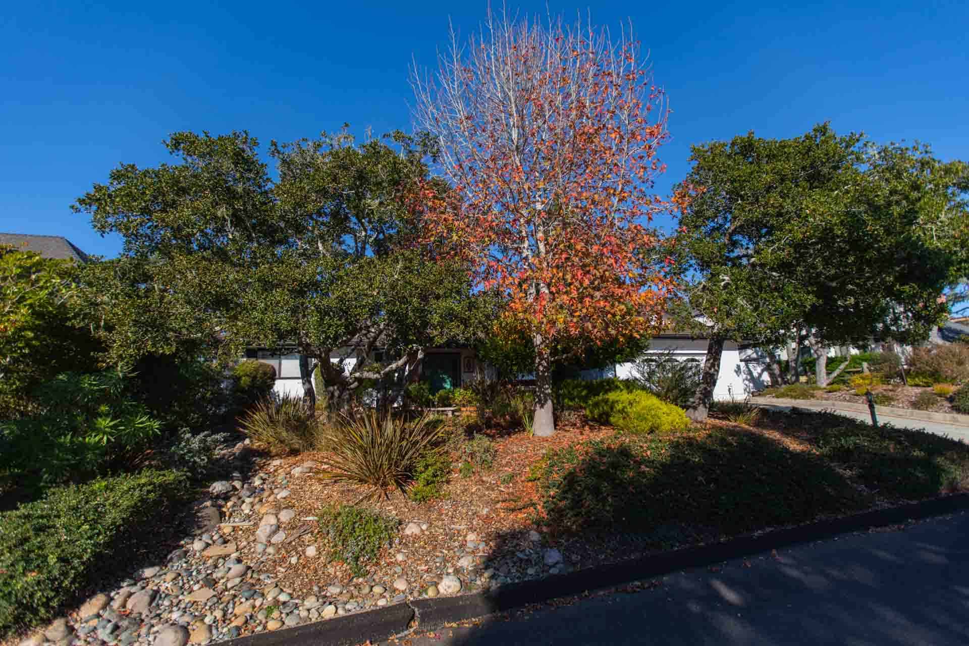 1113 Pinewood, Cambria, CA