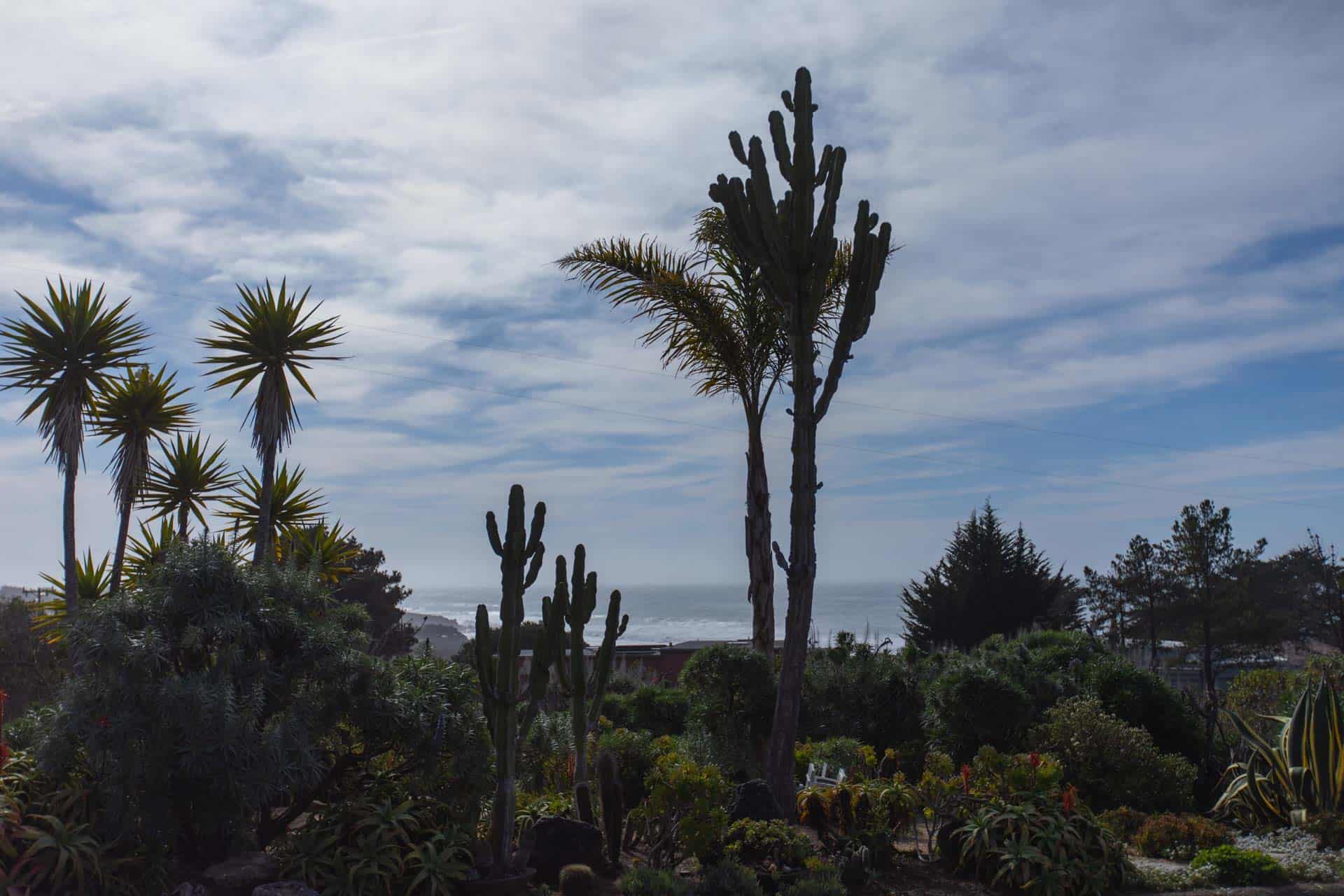 320 Wellington, Cambria, CA