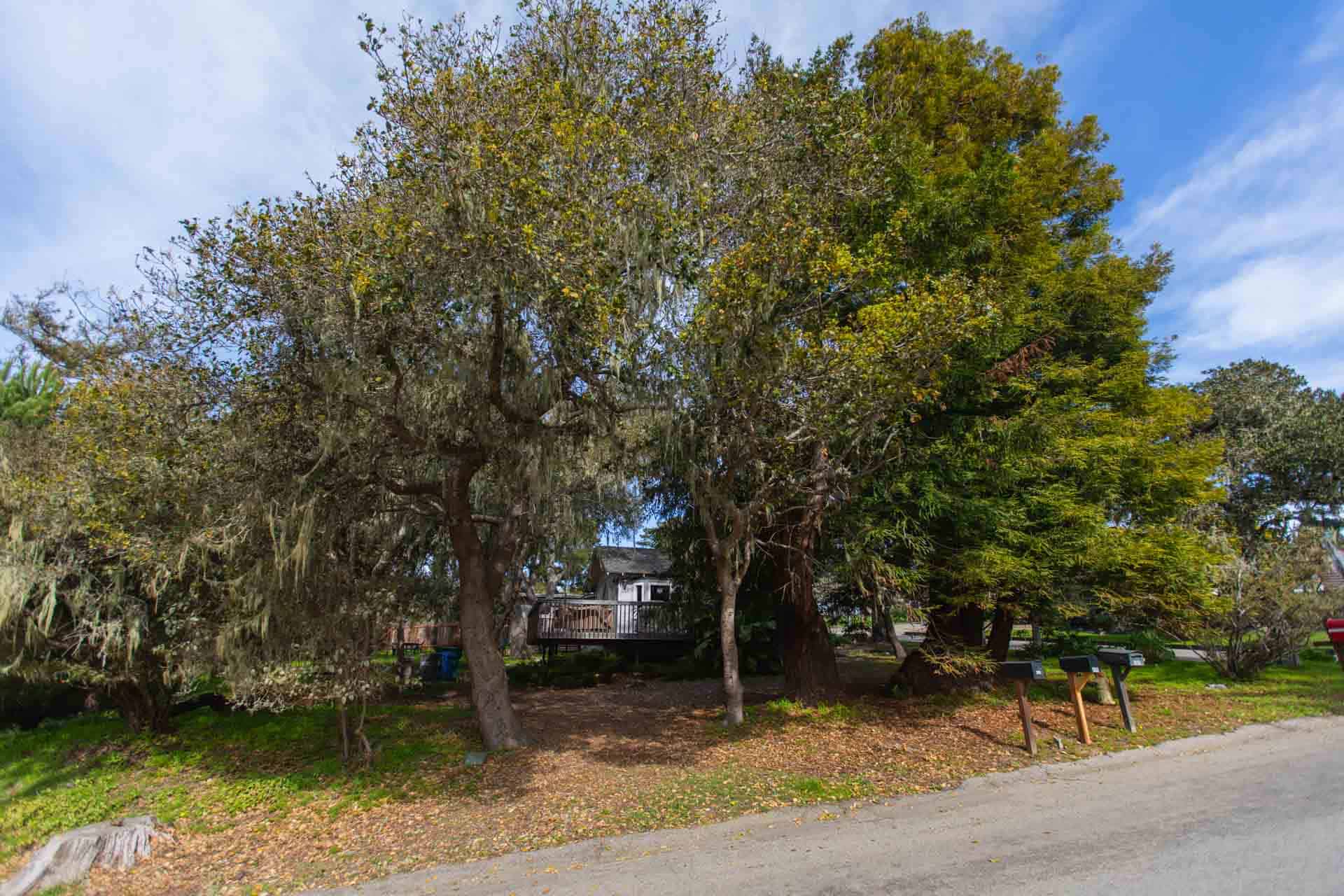 495 Weymouth, Cambria, CA