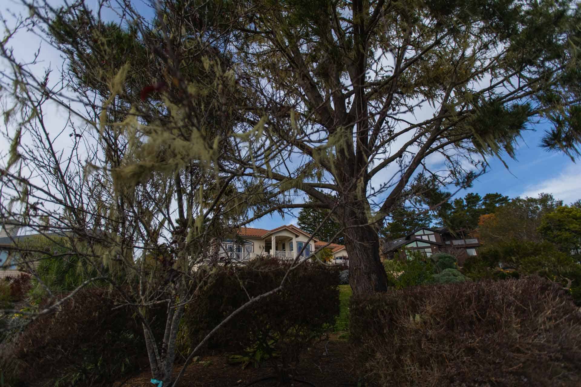 611 Warren, Cambria, CA