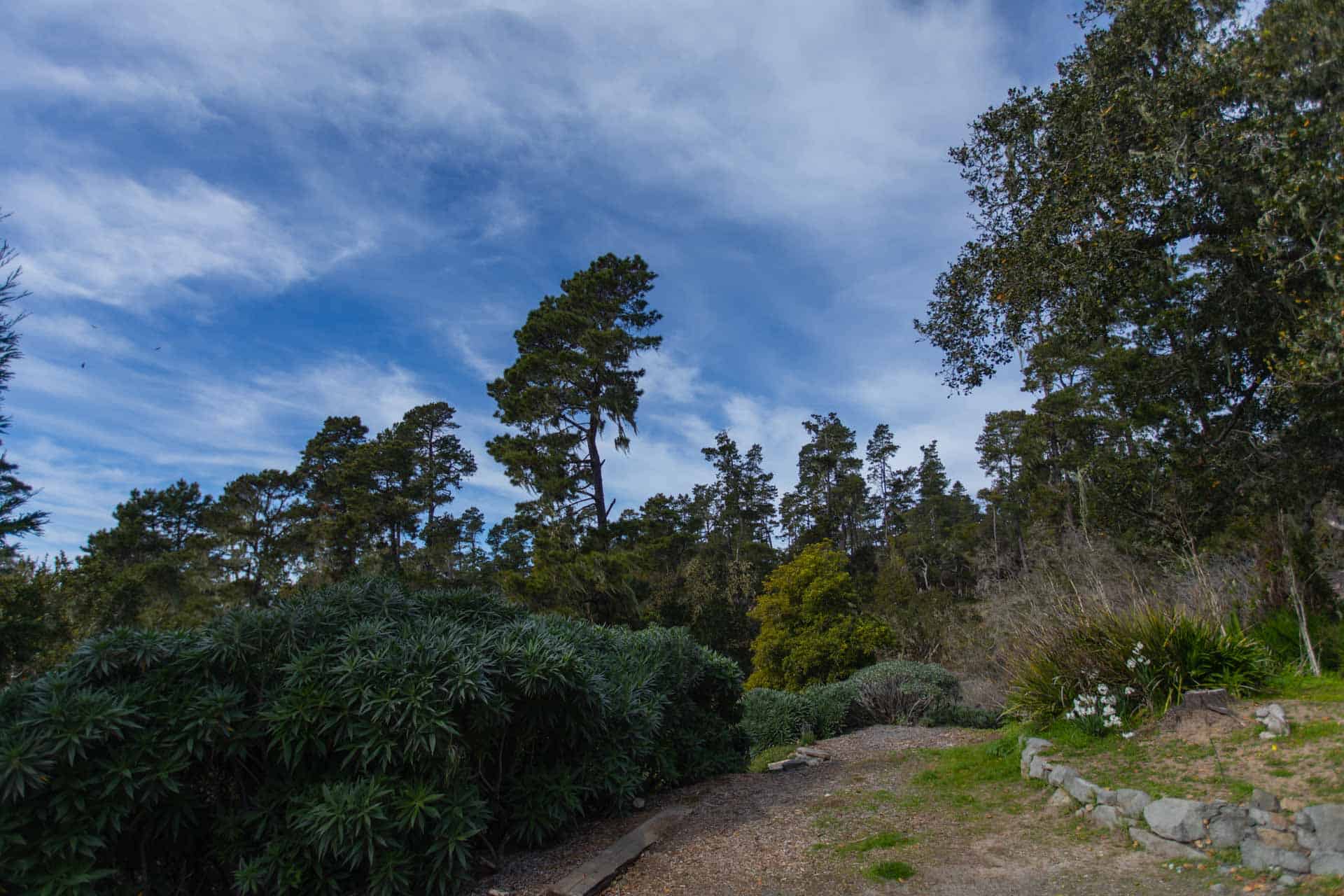 805 Suffolk, Cambria, CA