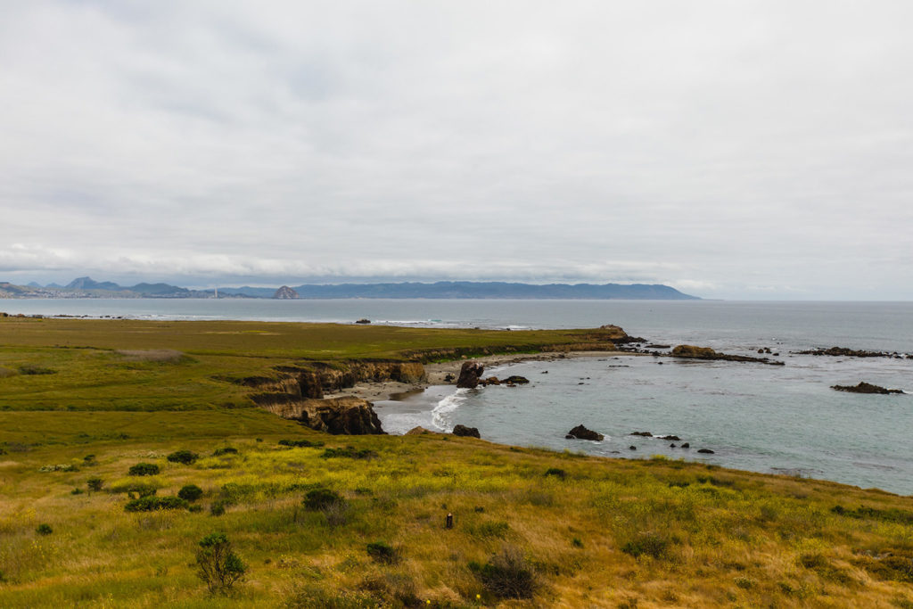 Estero Bluffs in Cayucos