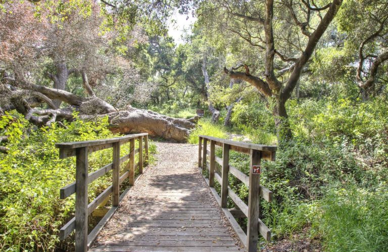 Links to Preserves, Sanctuaries and Secluded Pleasures along Highway 1