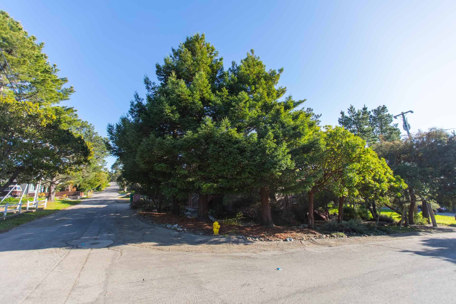 1895 Berwick, Cambria, CA