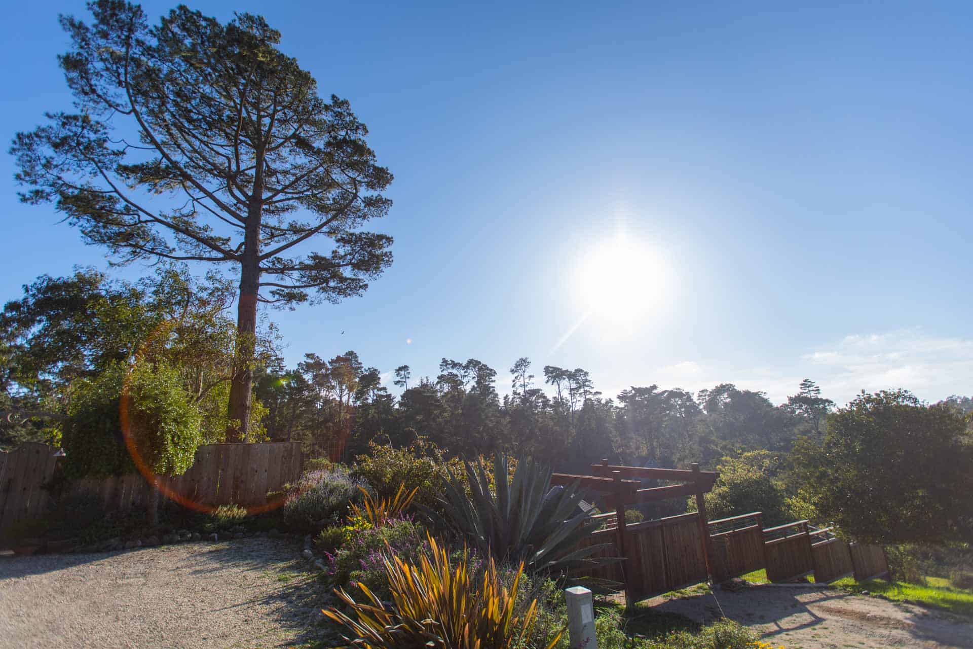 3113 Rogers, Cambria, CA
