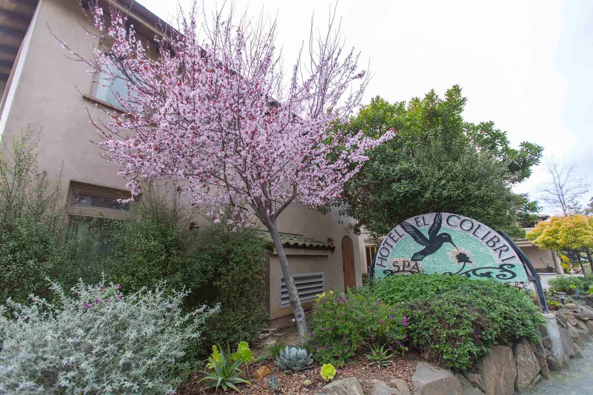 5620 Moonstone Beach Drive, Cambria, CA