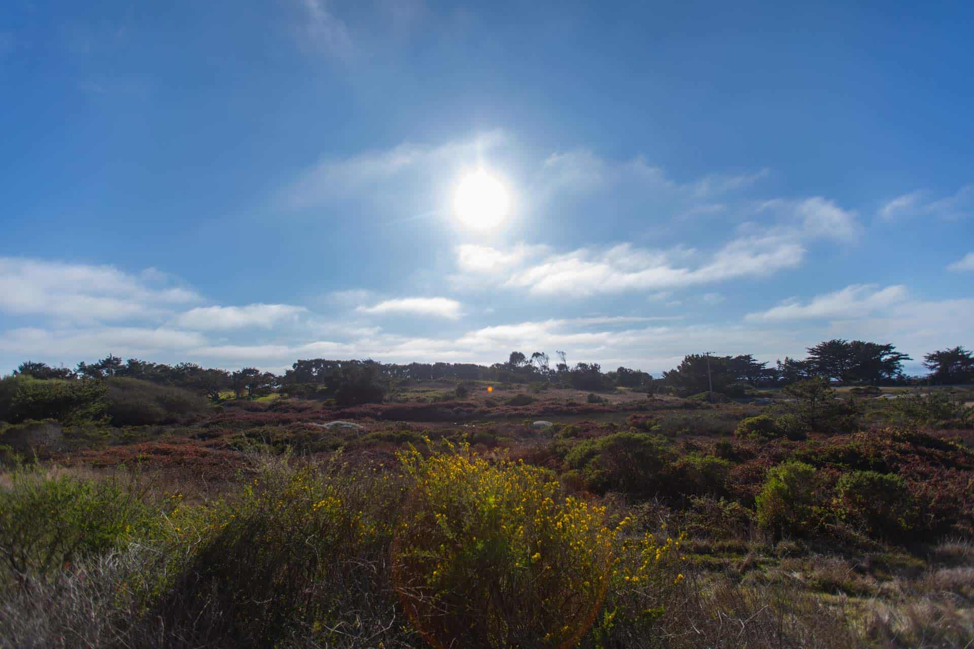6198 Brighton, Cambria, CA