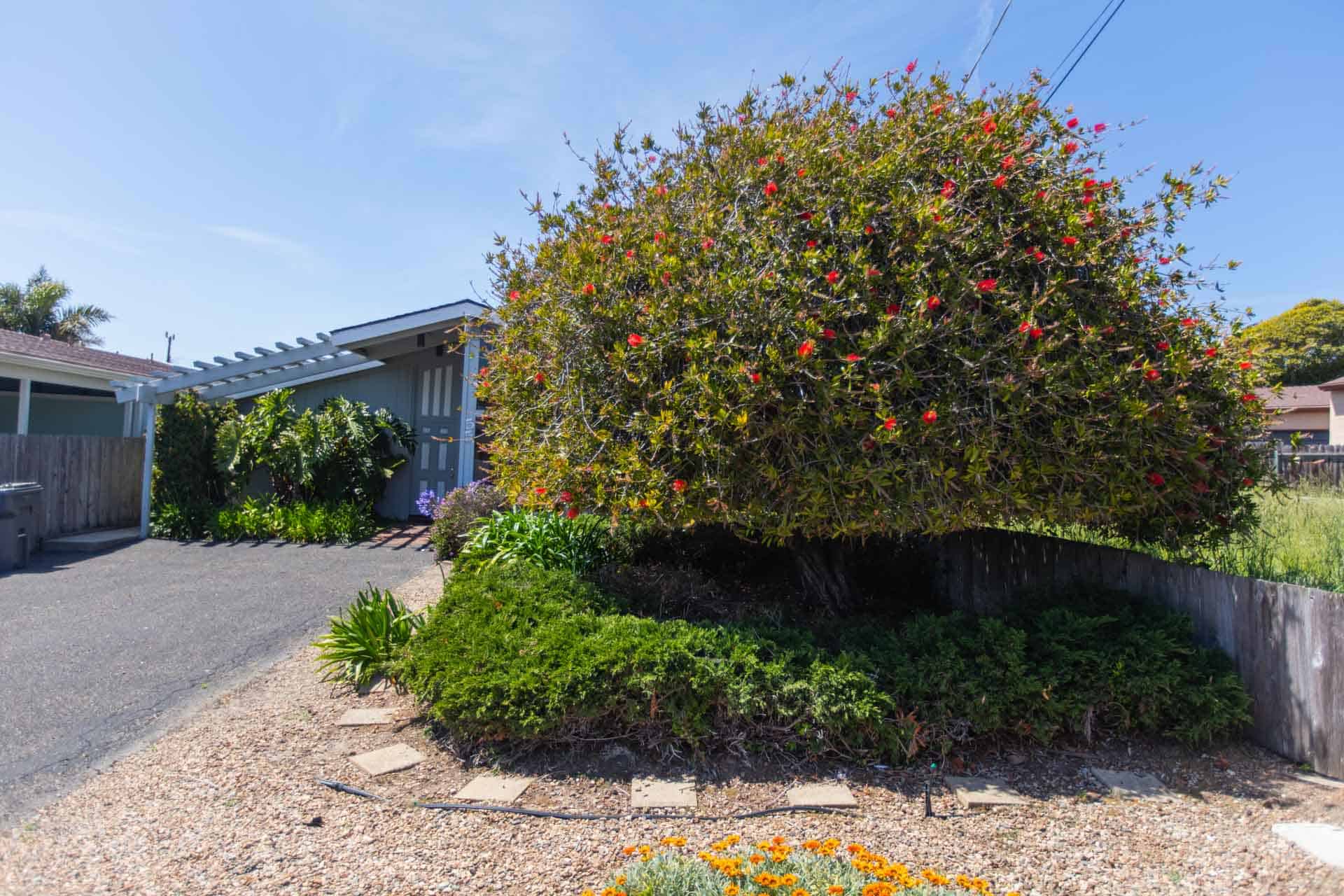 55 10th Street, Cayucos, CA