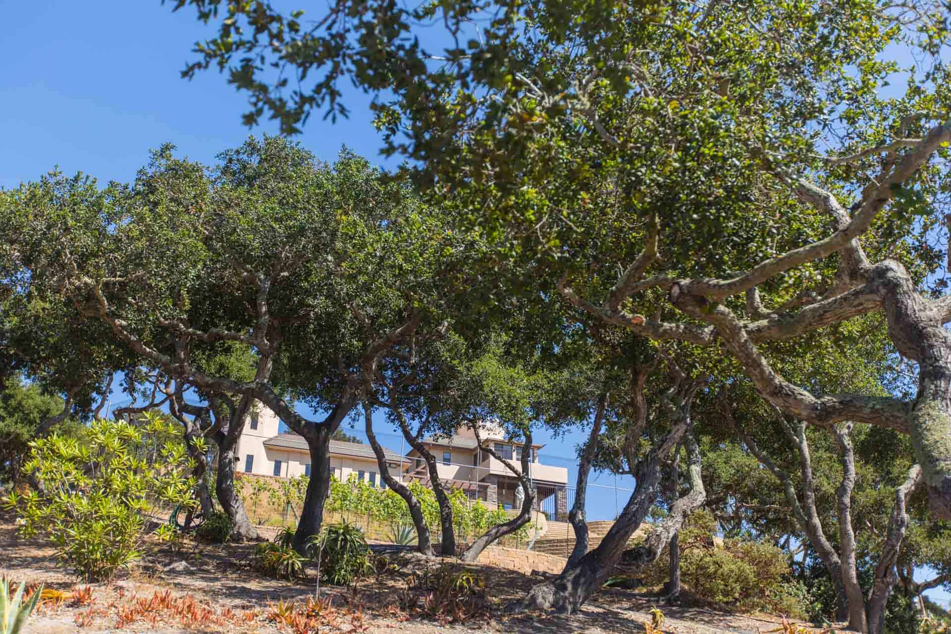 2030 Oak Way, Arroyo Grande