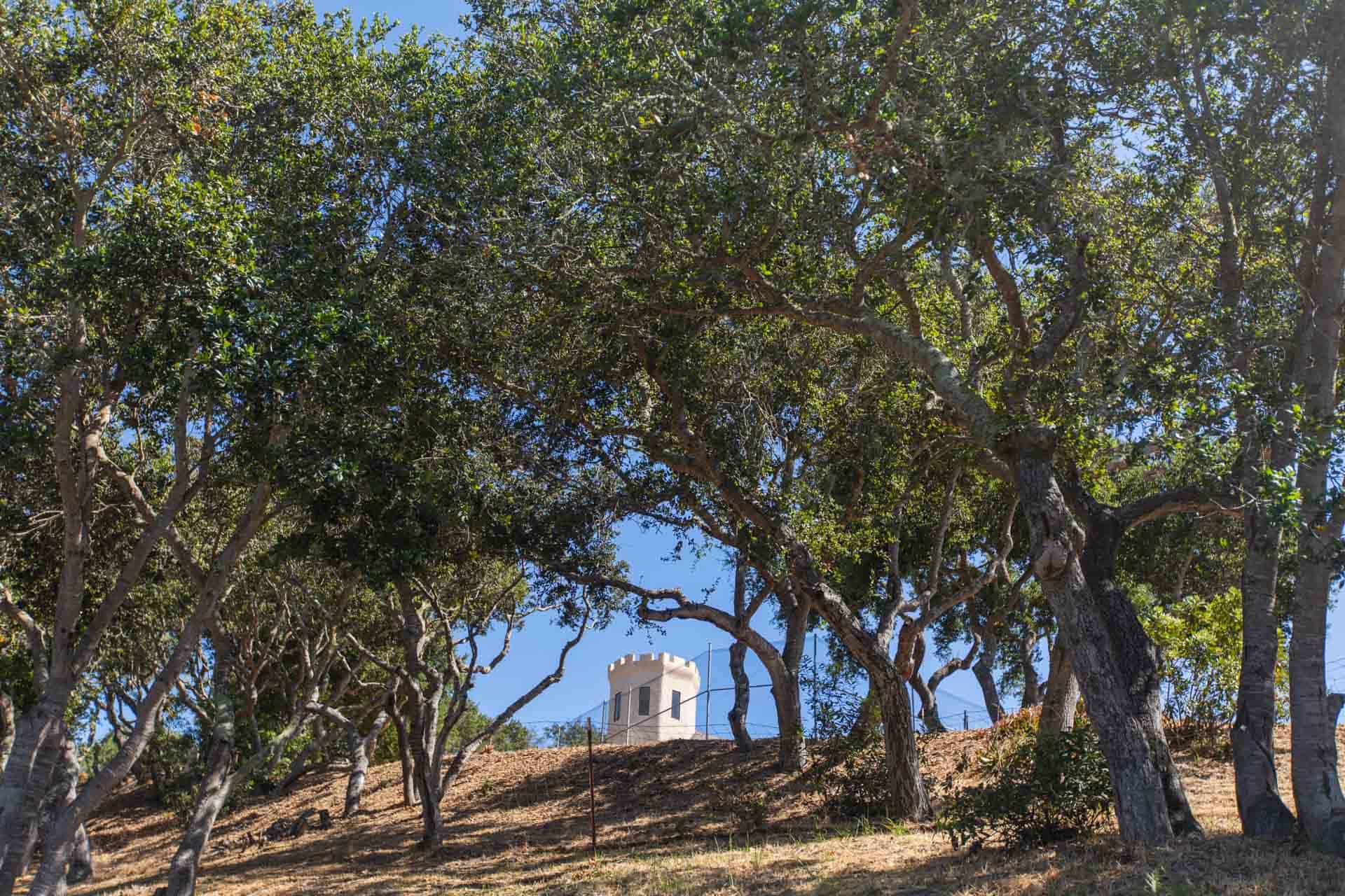 2030 Oak Way, Arroyo Grande