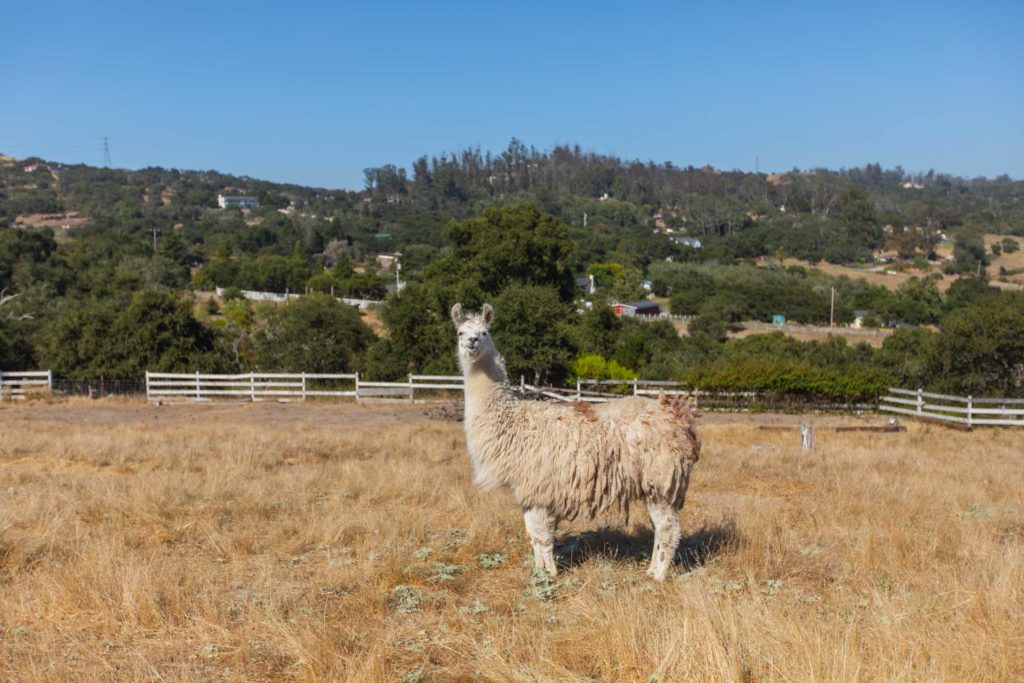 340 Ormonde Road, Arroyo Grande