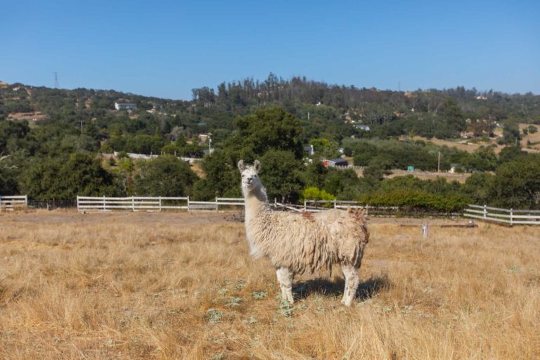 340 Ormonde Road, Arroyo Grande