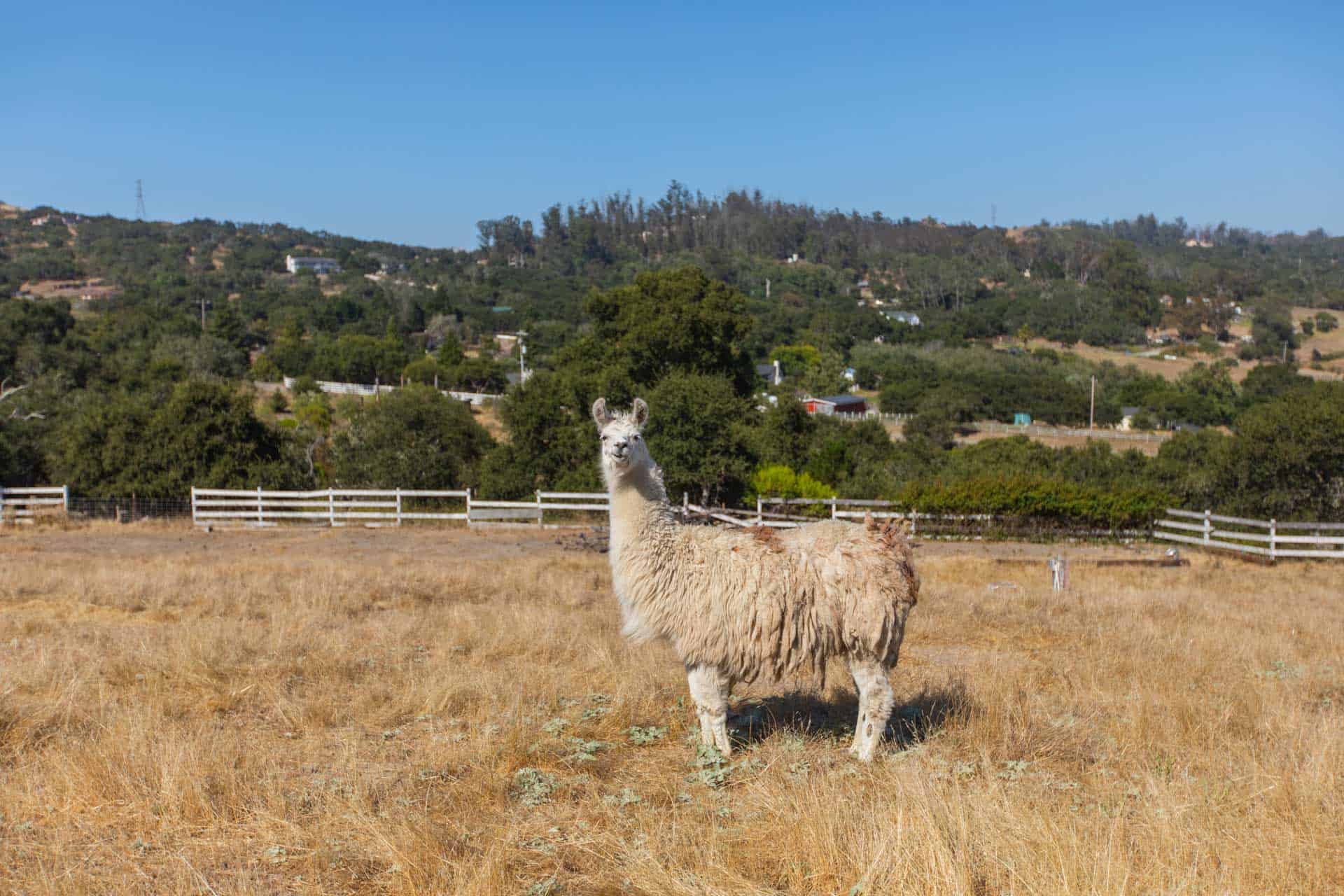 340 Ormonde Road, Arroyo Grande