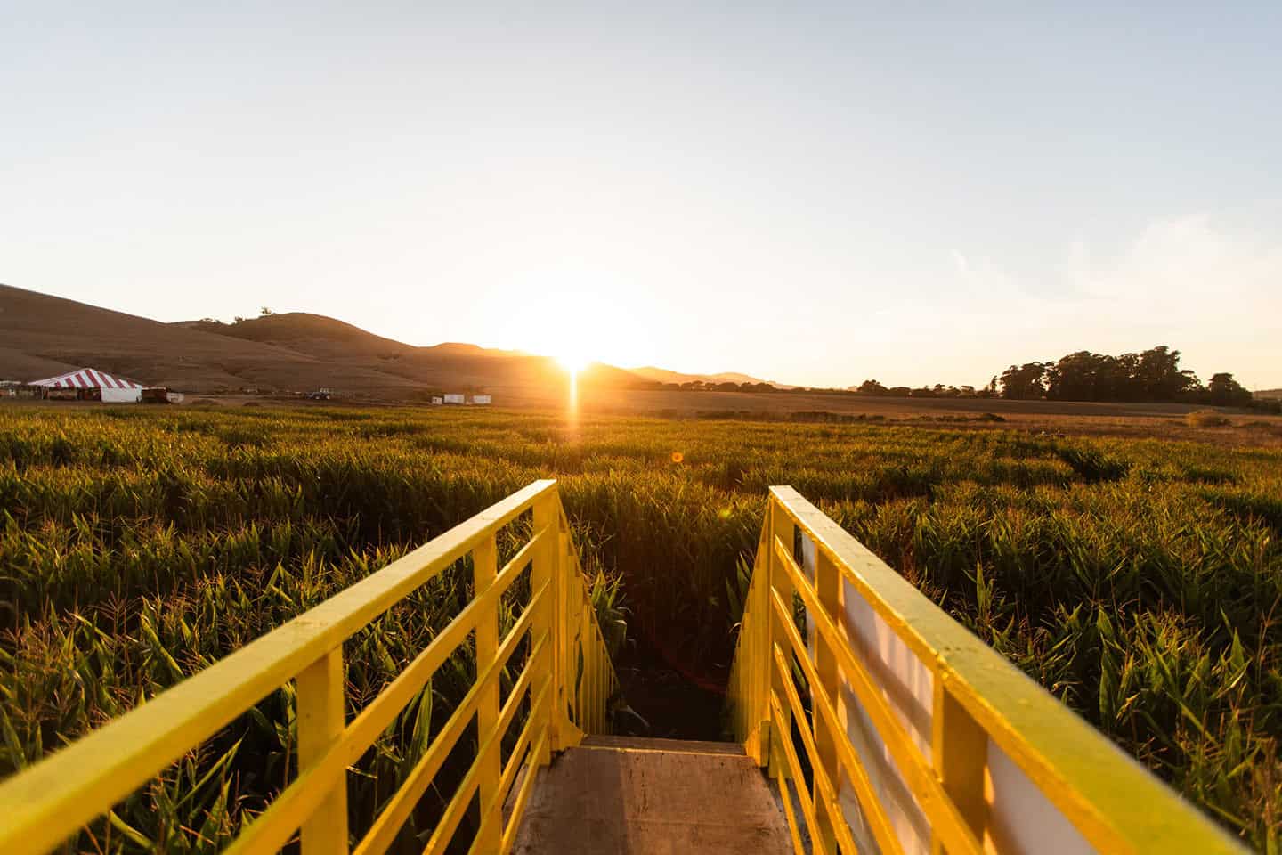 Brookshire Farms