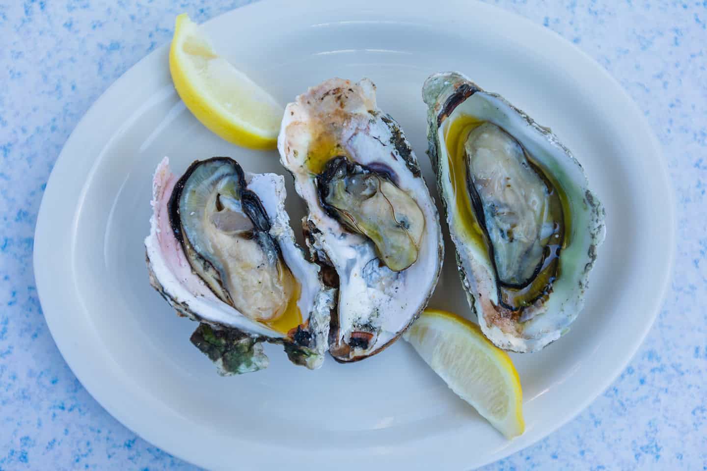 Morro Bay Oysters