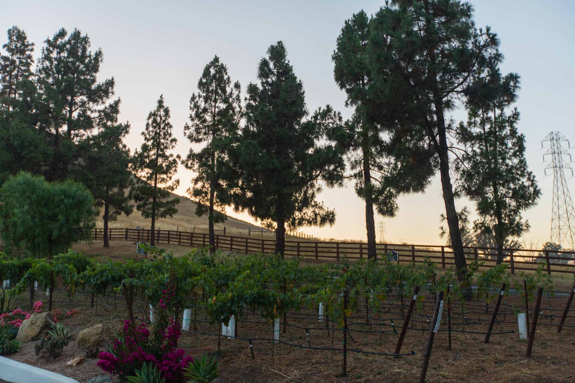 1995 La Lomita, San Luis Obispo