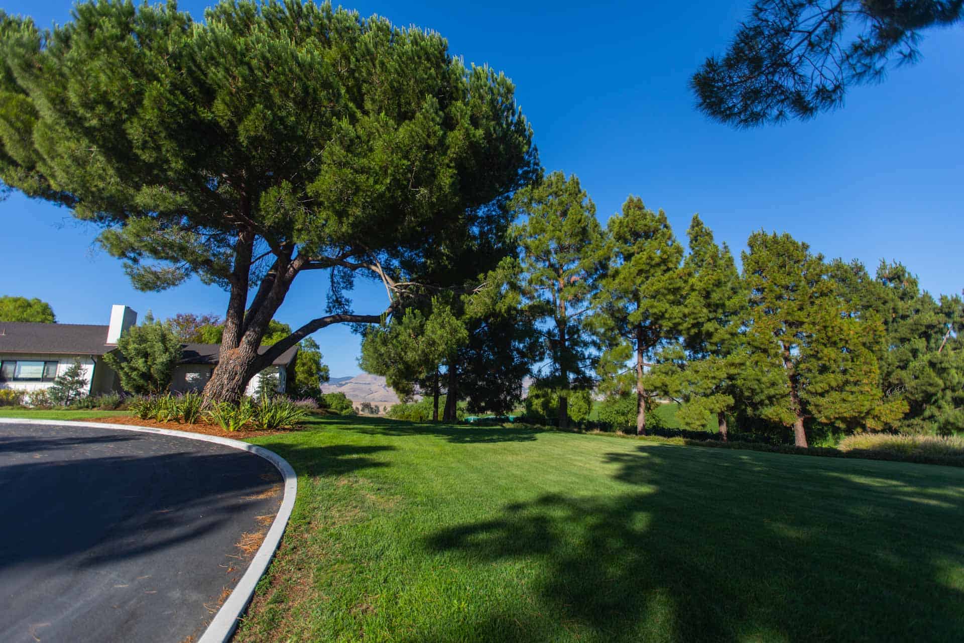 300 Greengate, San Luis Obispo