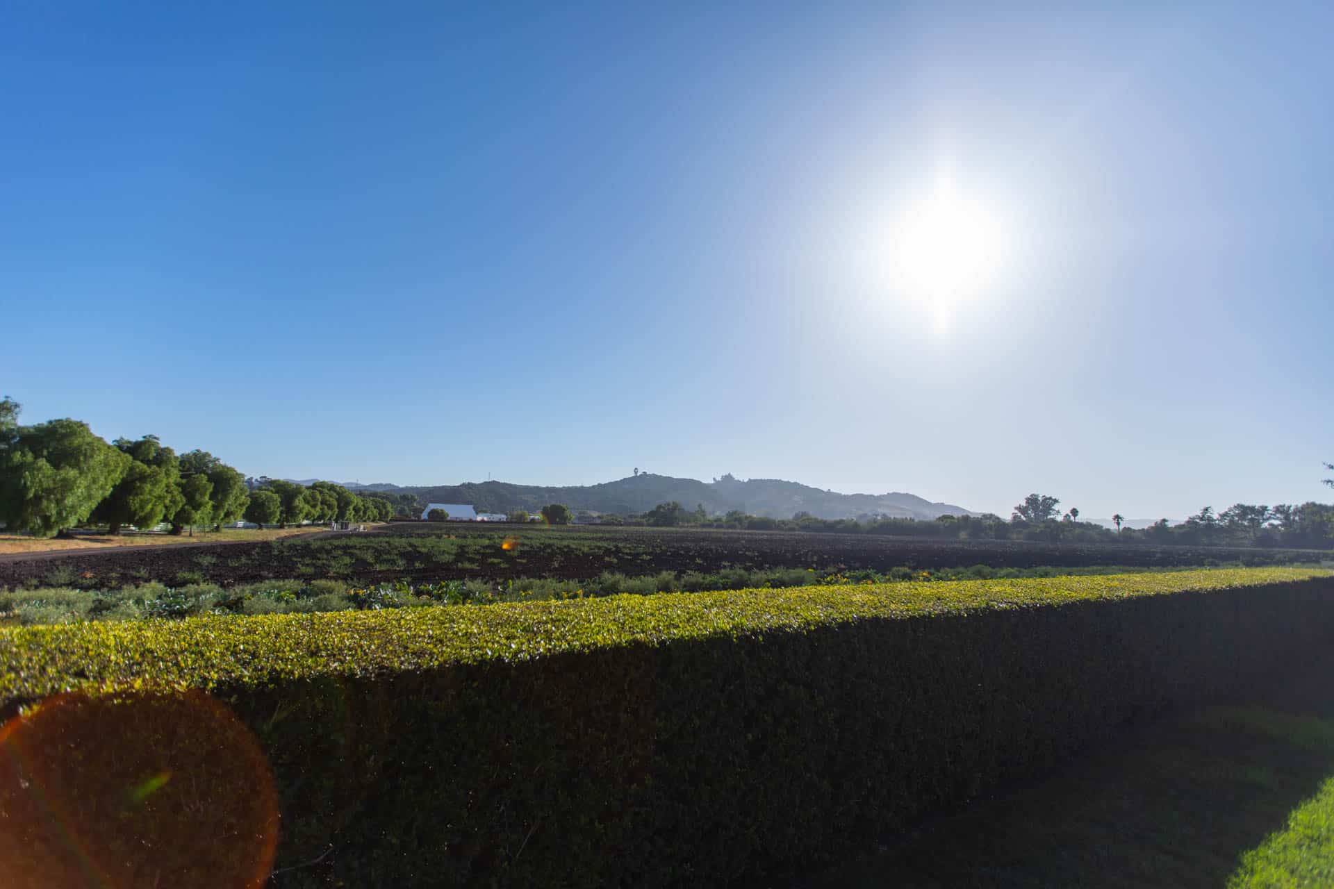 311 Greengate, San Luis Obispo