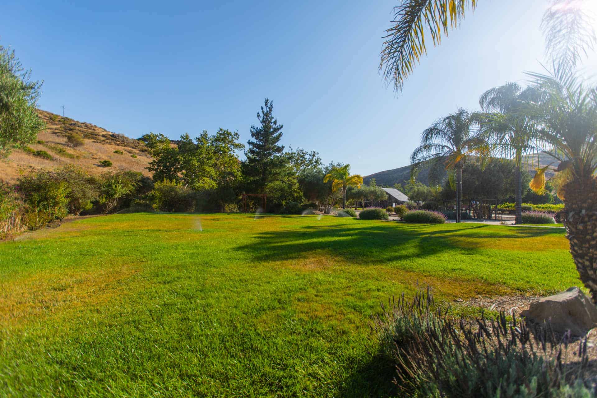 525 El Camino Real, San Luis Obispo