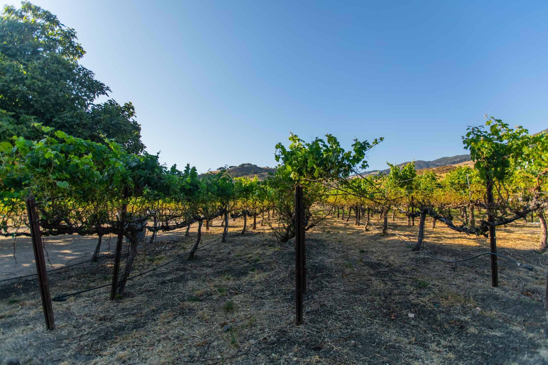 525 El Camino Real, San Luis Obispo