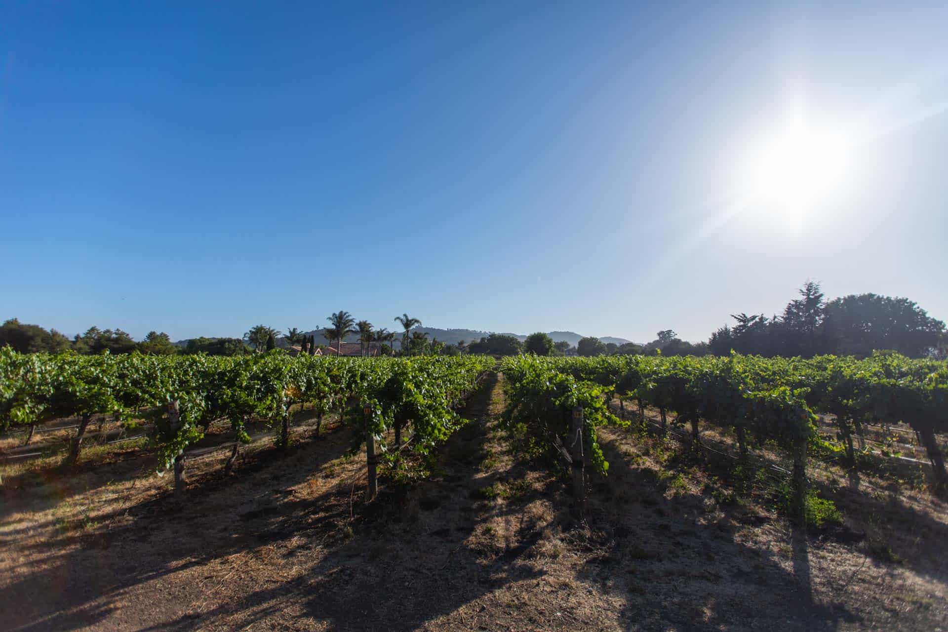 745 Twin Creeks Way, San Luis Obispo