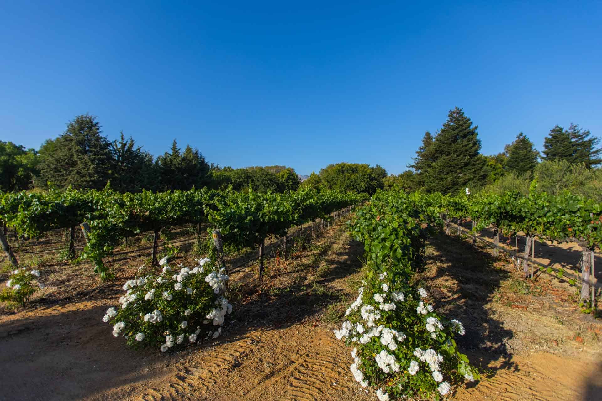 745 Twin Creeks Way, San Luis Obispo