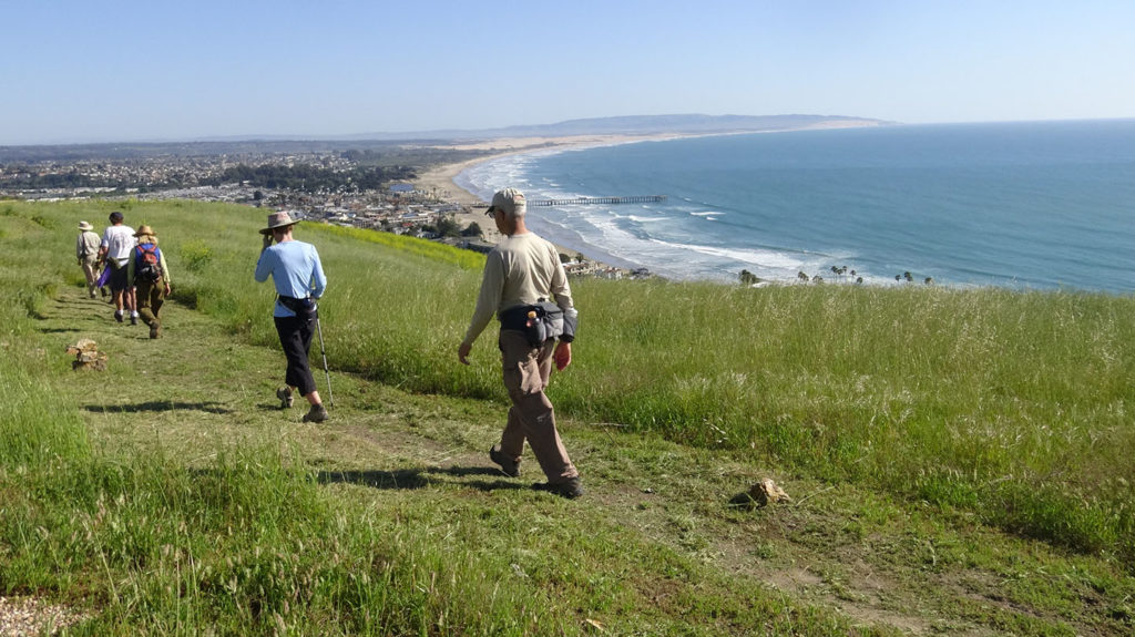 Pismo Preserve Trails
