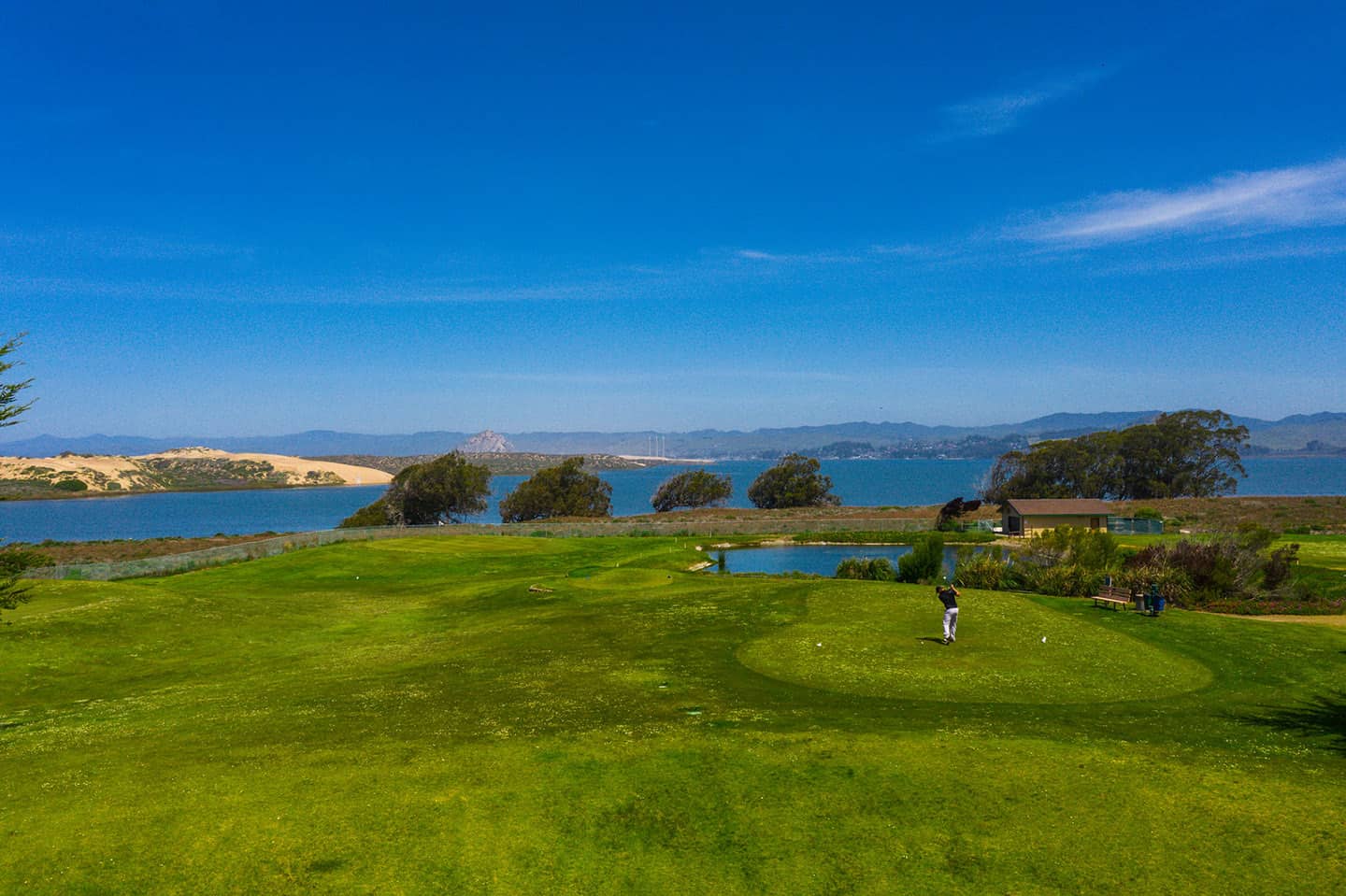 Sea Pines Golf