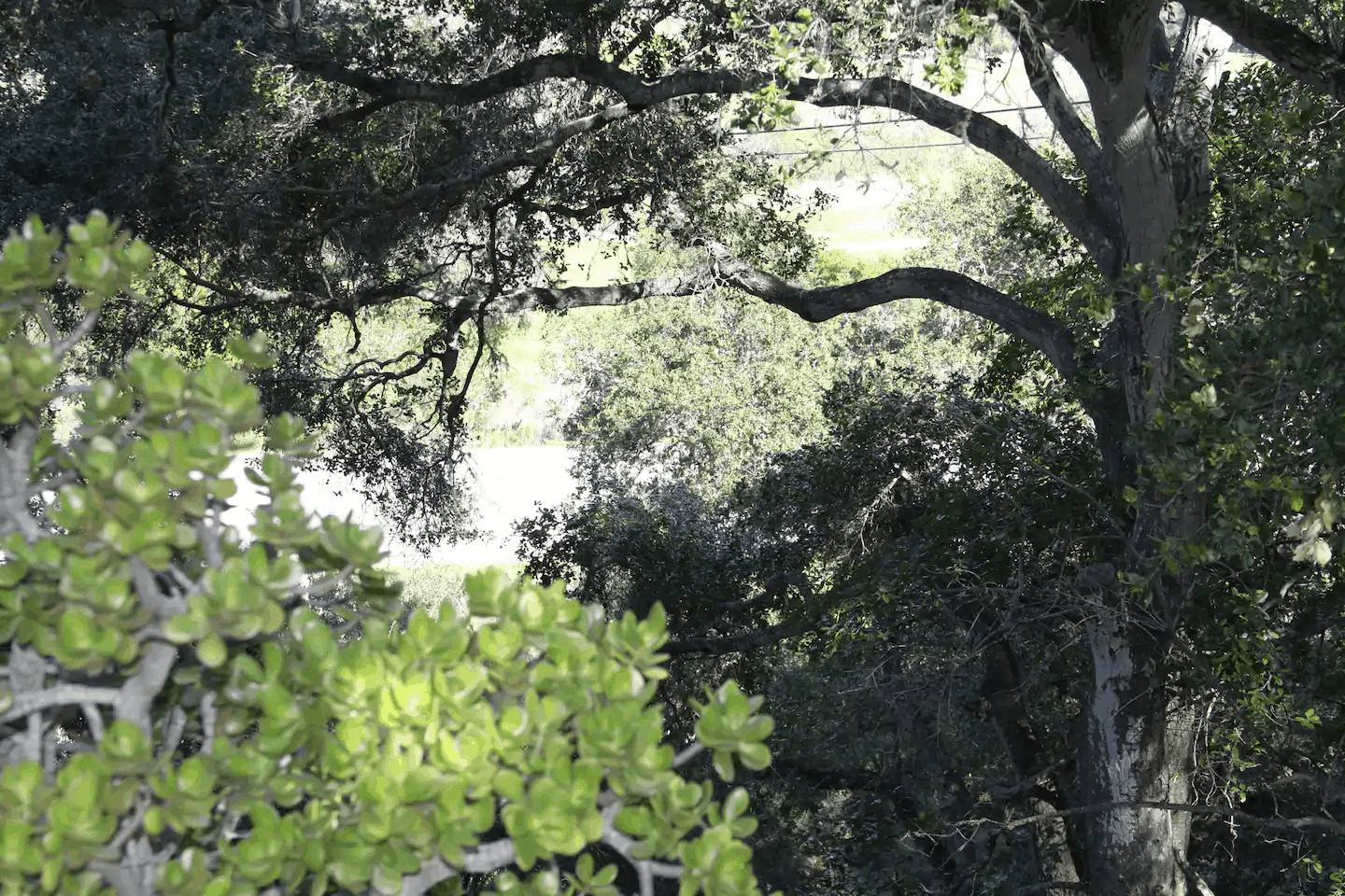251 San Luis Street, Avila Beach