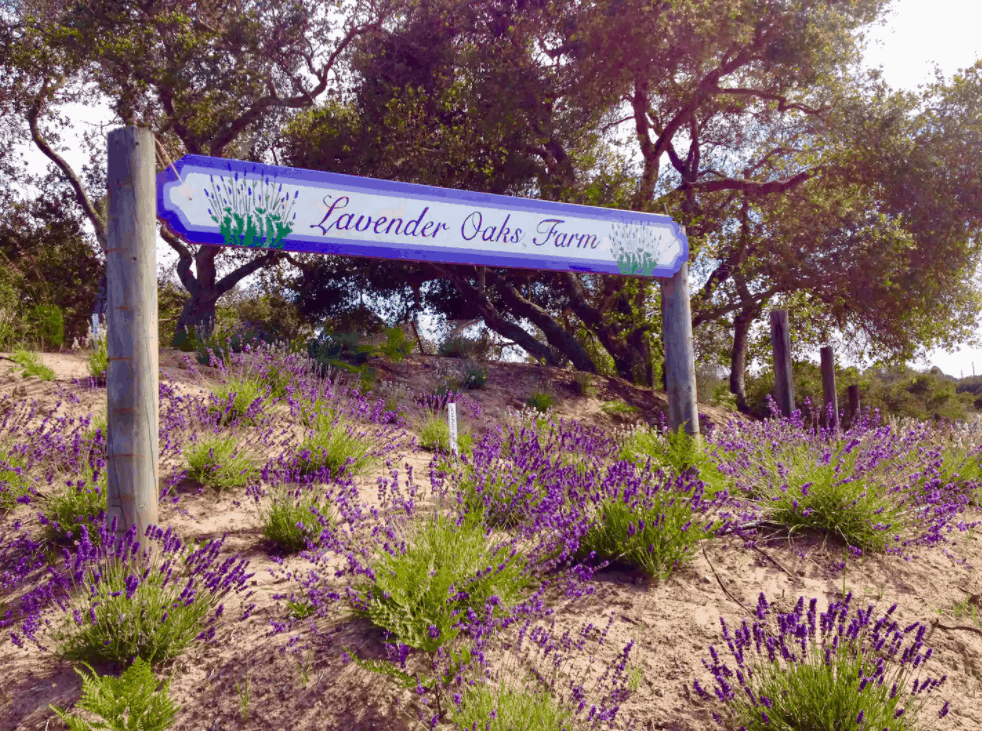 287 Summit Station, Arroyo Grande