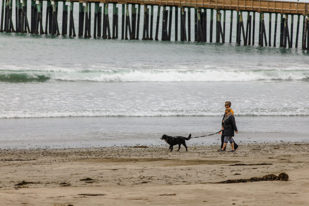 Couple with dog at Cayucos beach