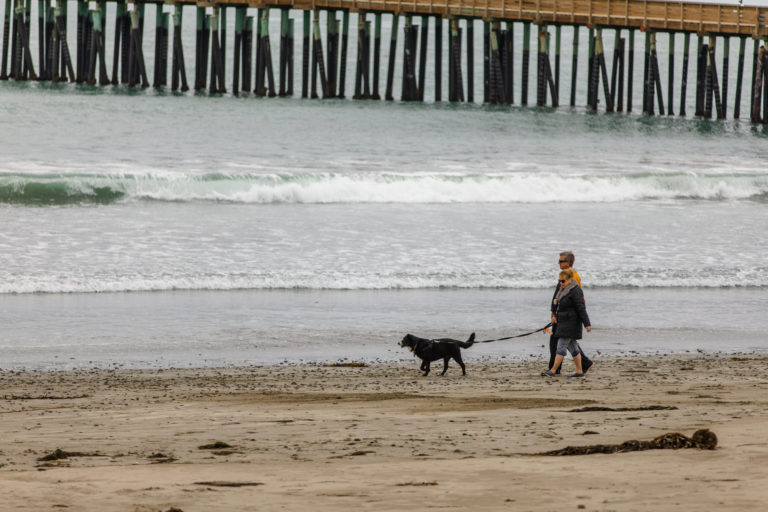 Couple with dog at Cayucos beach