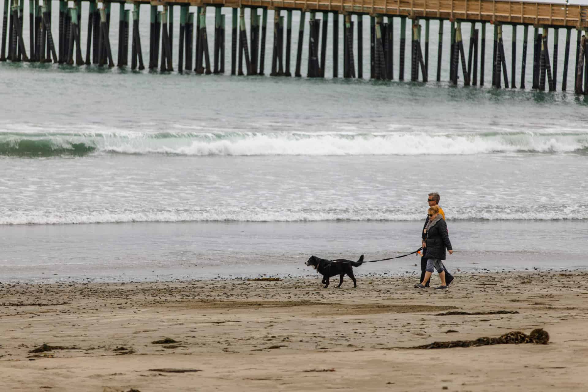 Couple with dog at Cayucos beach
