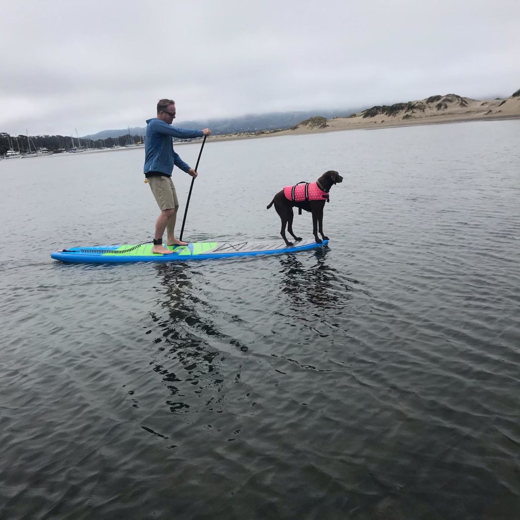 The Paddleboard Company
