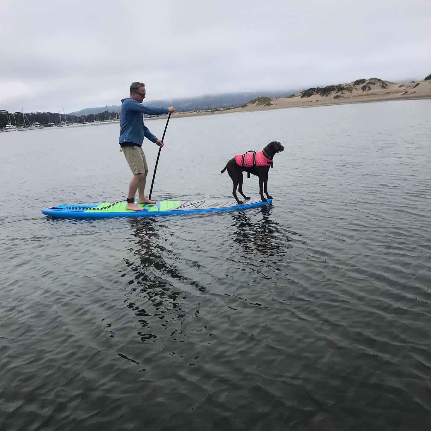 The Paddleboard Company