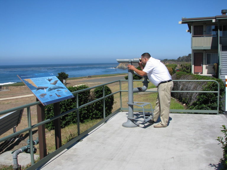 Whale Trail viewing