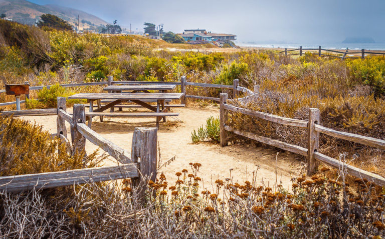 Cayucos Park Bench